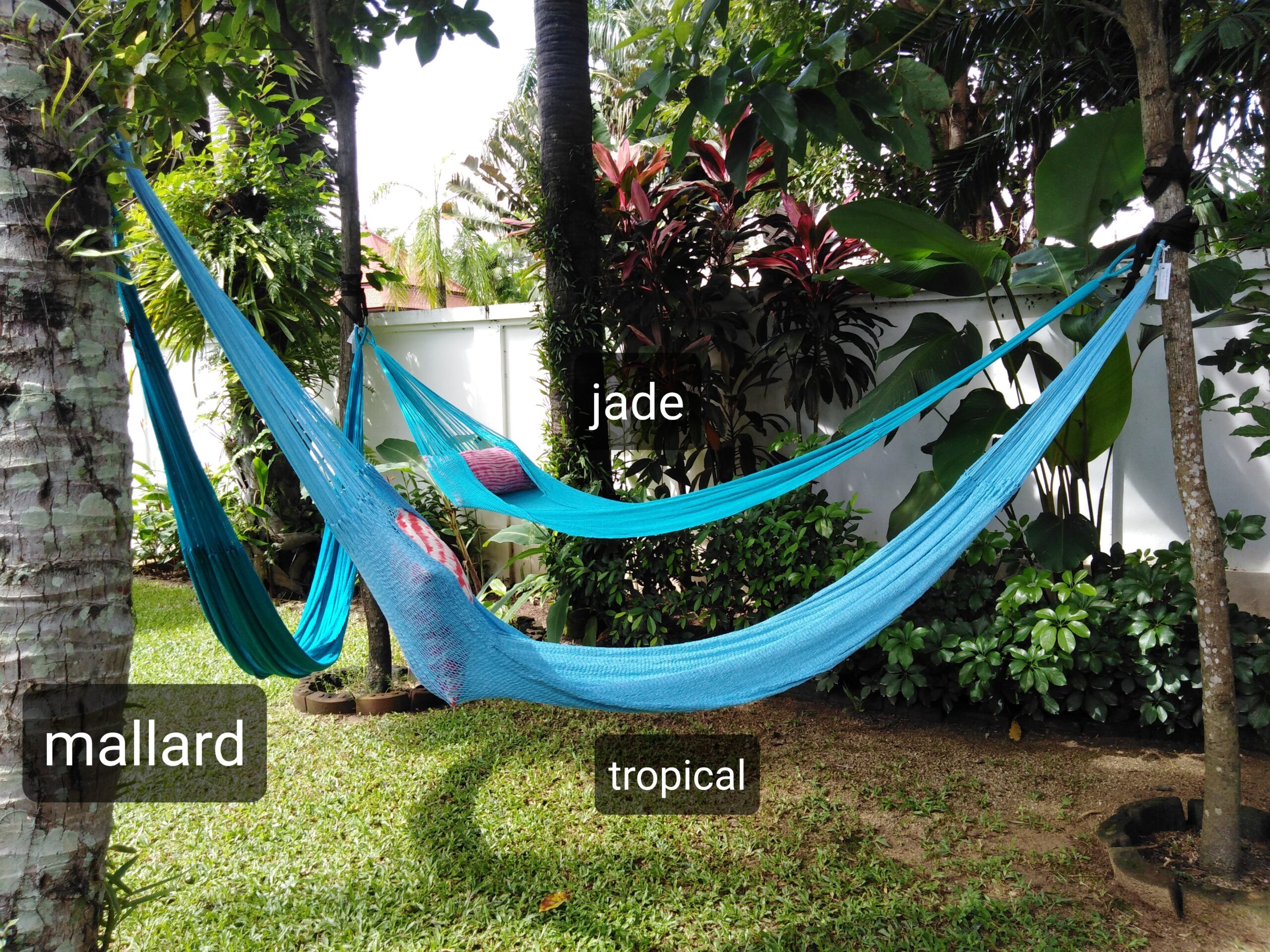 ula hammocks mallard jade tropical