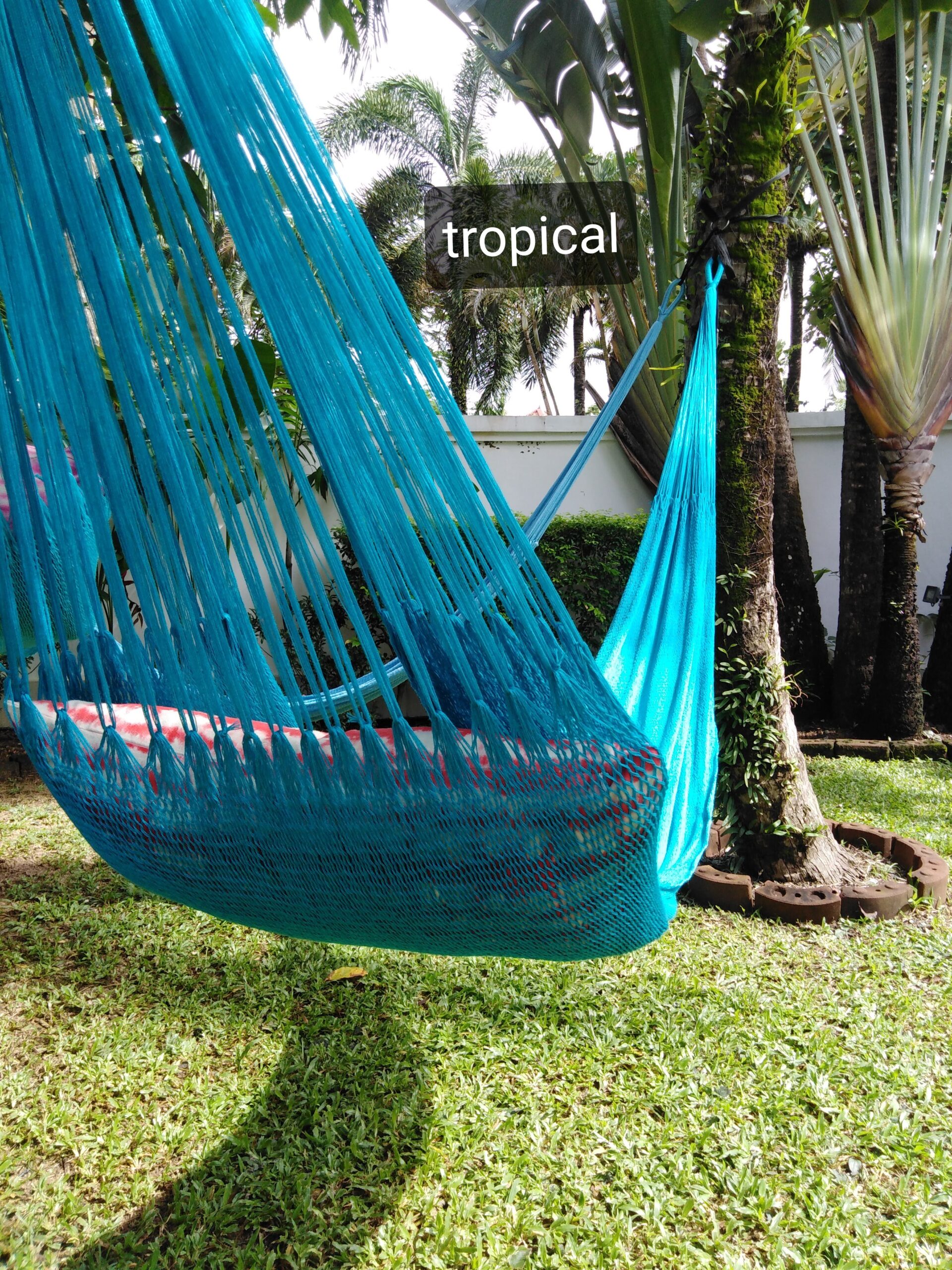 ula hammock tropical